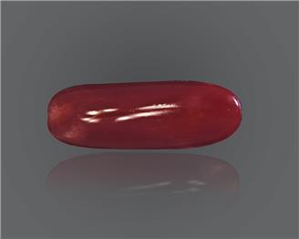 Red Coral (Moonga) Natural Certified 7.15 Ratti ( 84892 )